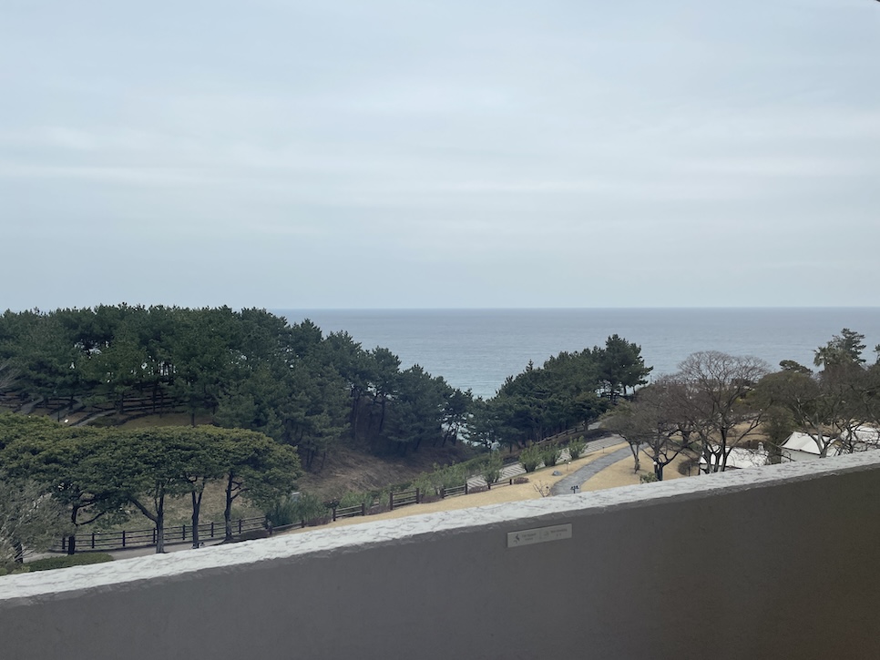 제주신라호텔 오션뷰